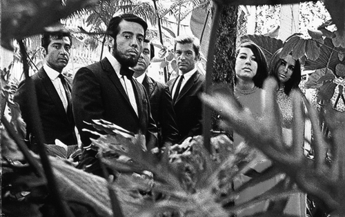 Sergio Mendes & Brasil '66 - Stillness - LP - Image 2