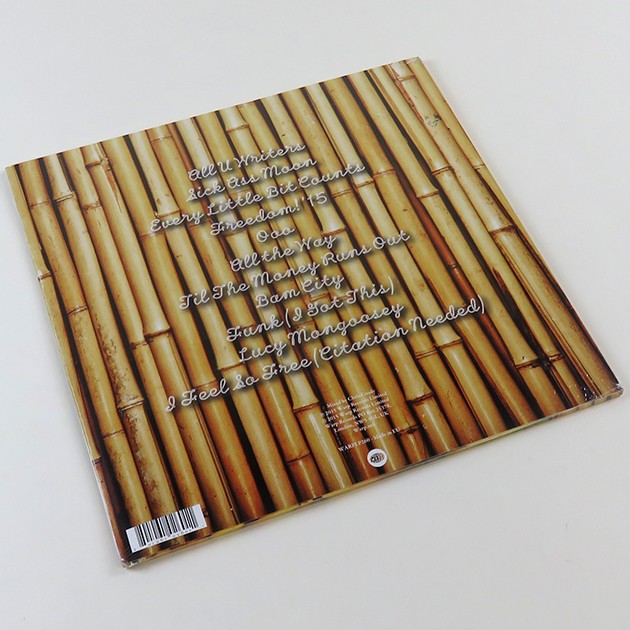 !!! (Chk Chk Chk) - As If - 2LP - Image 2