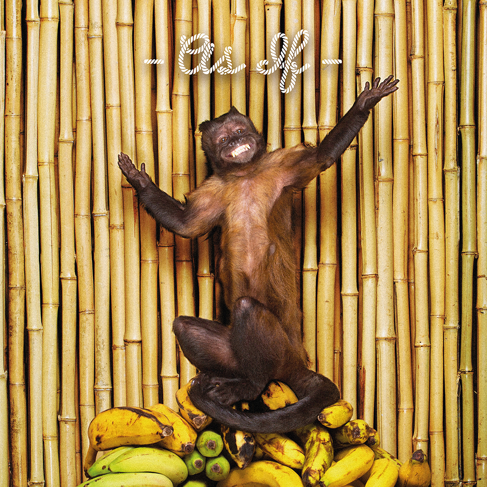 !!! (Chk Chk Chk) - As If - 2LP