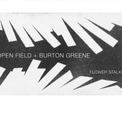 Open Field + Burton Greene - Flower Stalk - CD