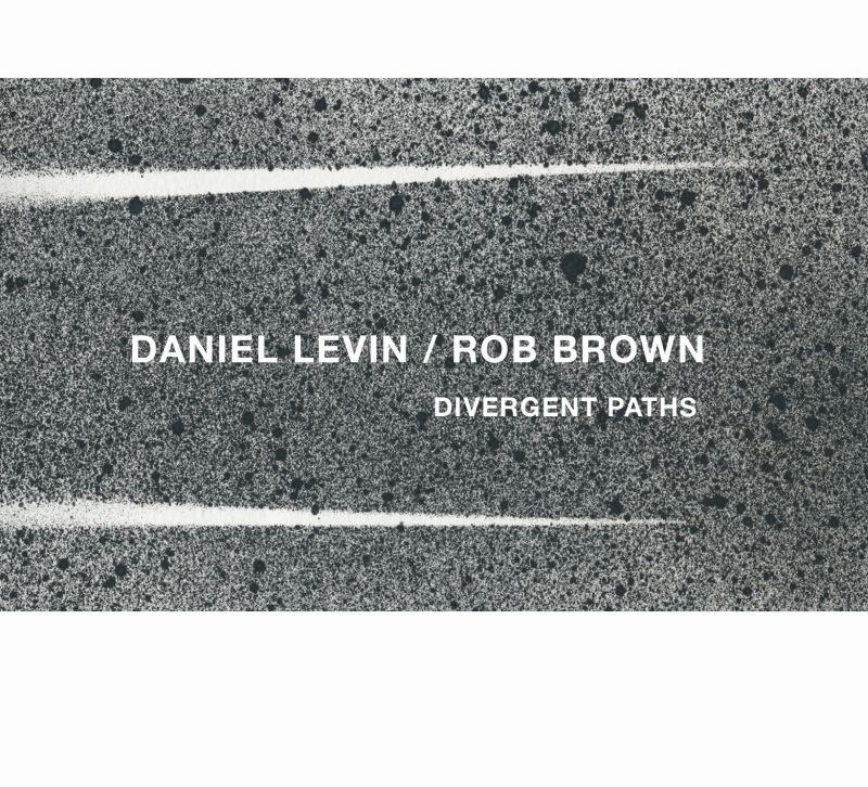 Daniel Levin / Rob Brown - Divergent Paths - CD