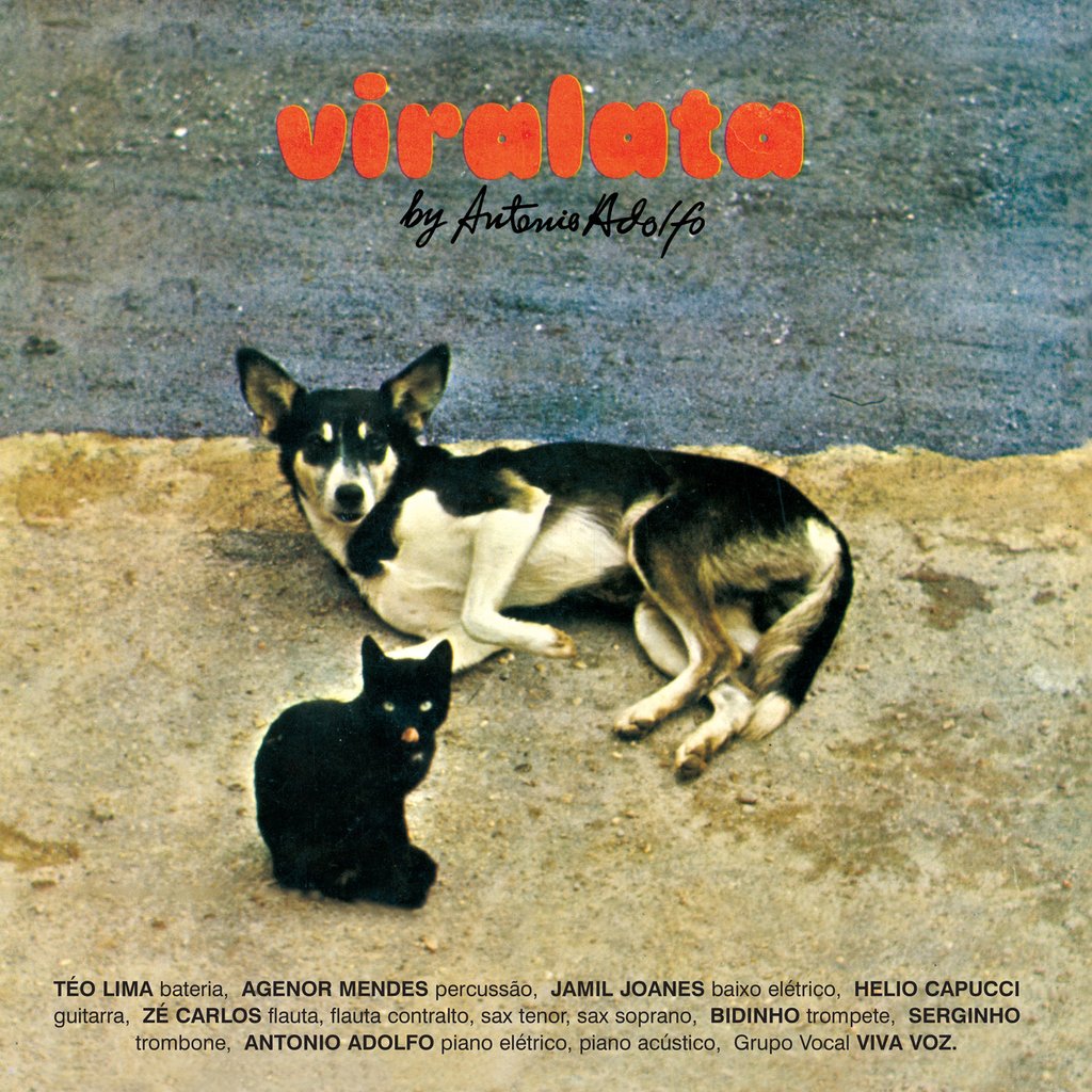 António Adolfo - Viralata - LP