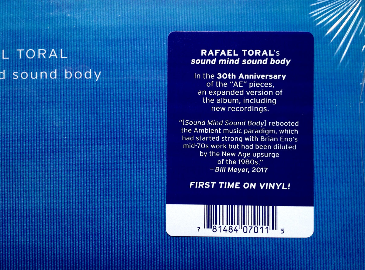Rafael Toral - Sound Mind, Sound Body - 2LP - Image 2
