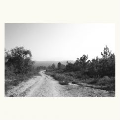 Alagoa - To Be A Mountain - CD