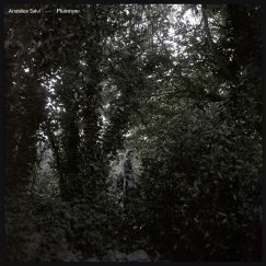 Angélica V. Salvi - Phantone - LP