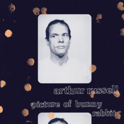 Arthur Russell - Picture Of Bunny Rabbit - LP