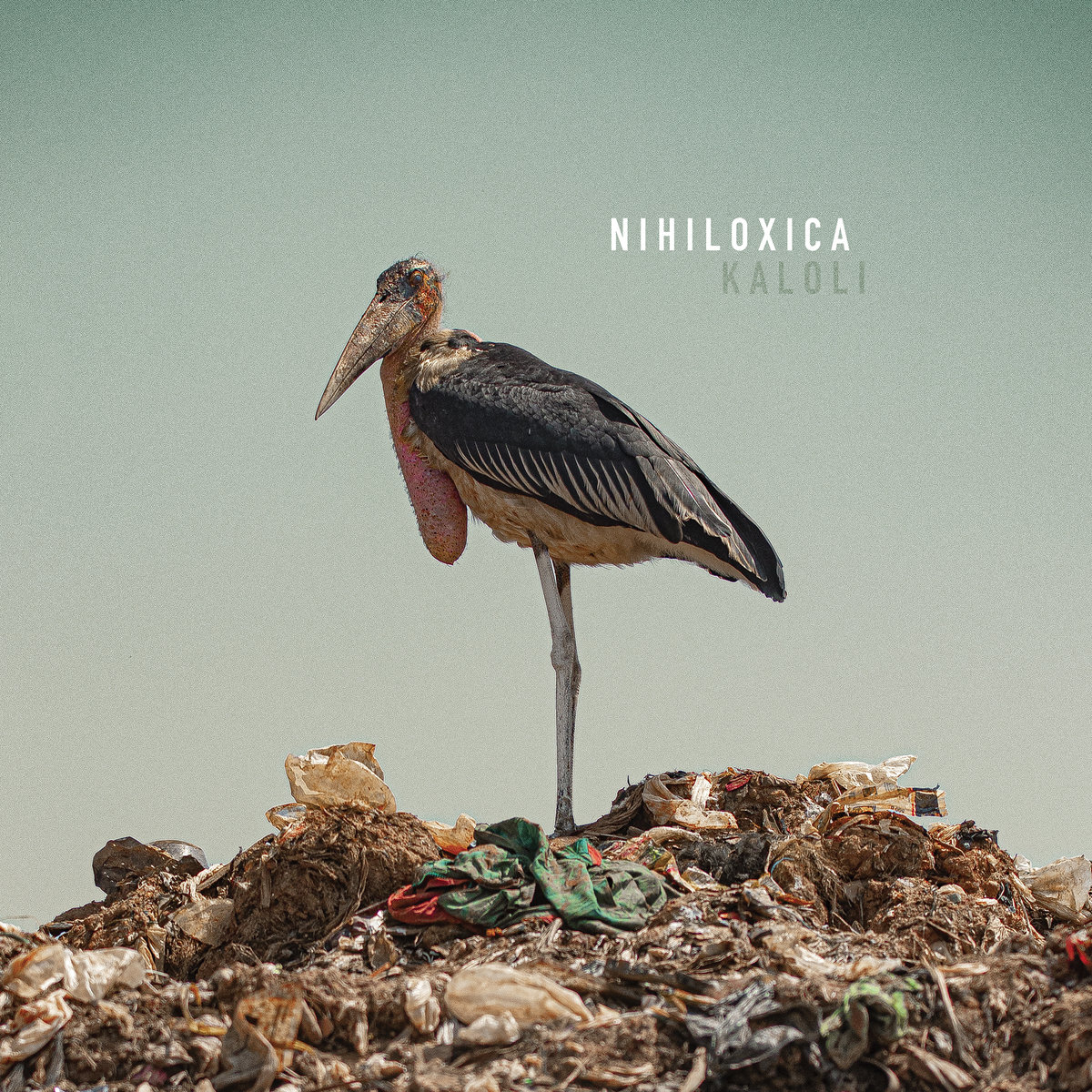 Nihiloxica - Kaloli - CD