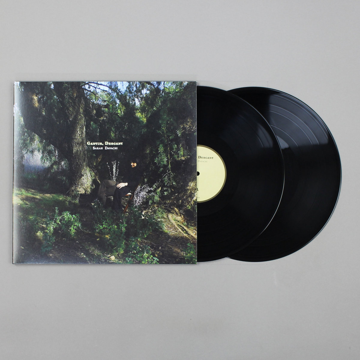 Sarah Davachi - Cantus, Descant - 2LP - Image 2