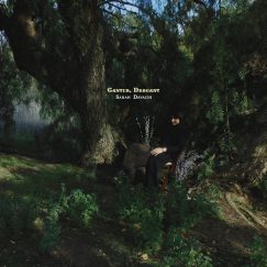 Sarah Davachi - Cantus, Descant - 2LP