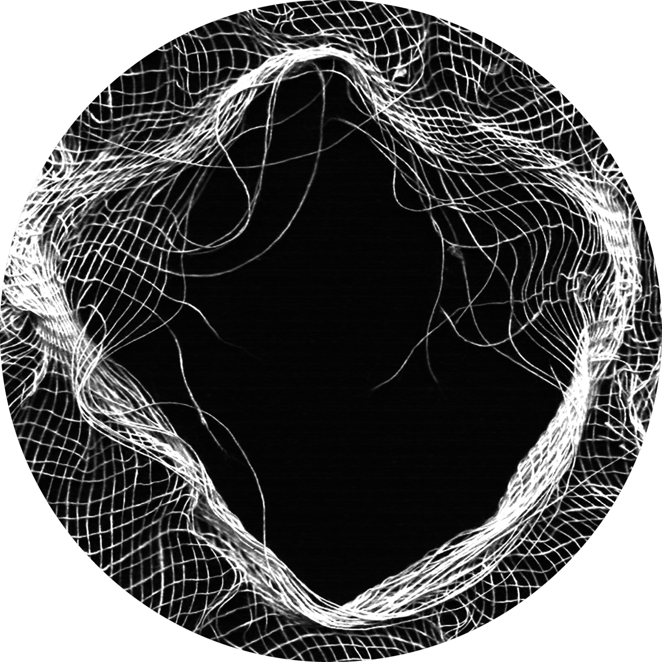 FOQL - Szkarady - 12" - Image 2