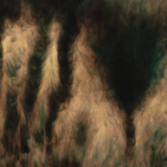 William Basinski - Lamentations - 2LP (Coloured)