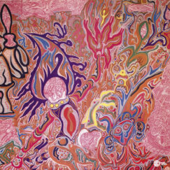 Flute & Voice - Imaginations Of Light / Hallo Rabbit - 2LP