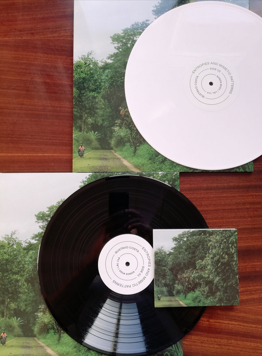 Gustavo Costa - Entropies and Mimetic Patterns - LP - Image 2