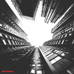 G36 Vs JK Flesh - Disintegration Dubs - 2LP (Coloured)