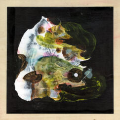 Wolf Eyes - Difficult Messages - LP (Clear)