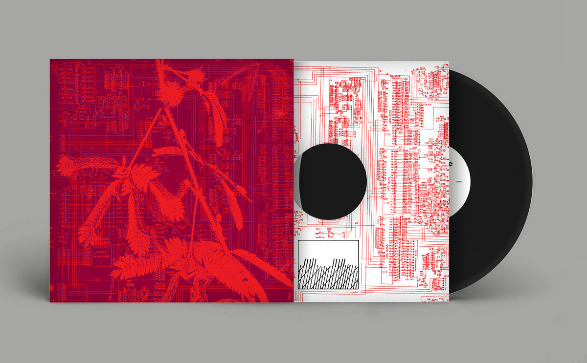 Hidden Horse - Incorporeal - LP - Image 2