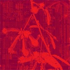 Hidden Horse - Incorporeal - LP