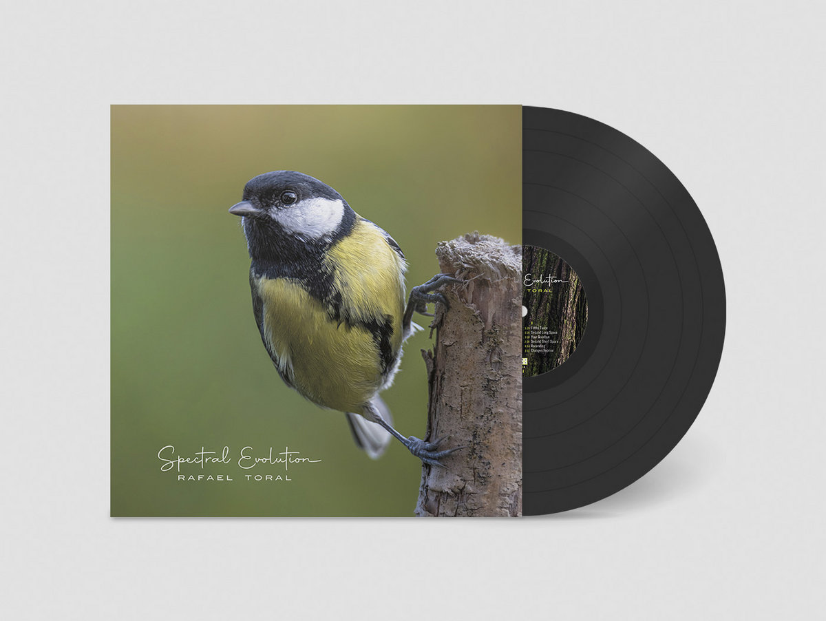 Rafael Toral - Spectral Evolution - LP - Image 2