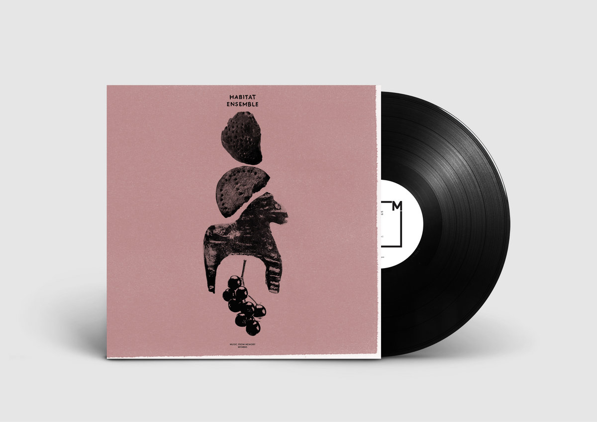 Habitat Ensemble - Habitat Ensemble - LP - Image 2