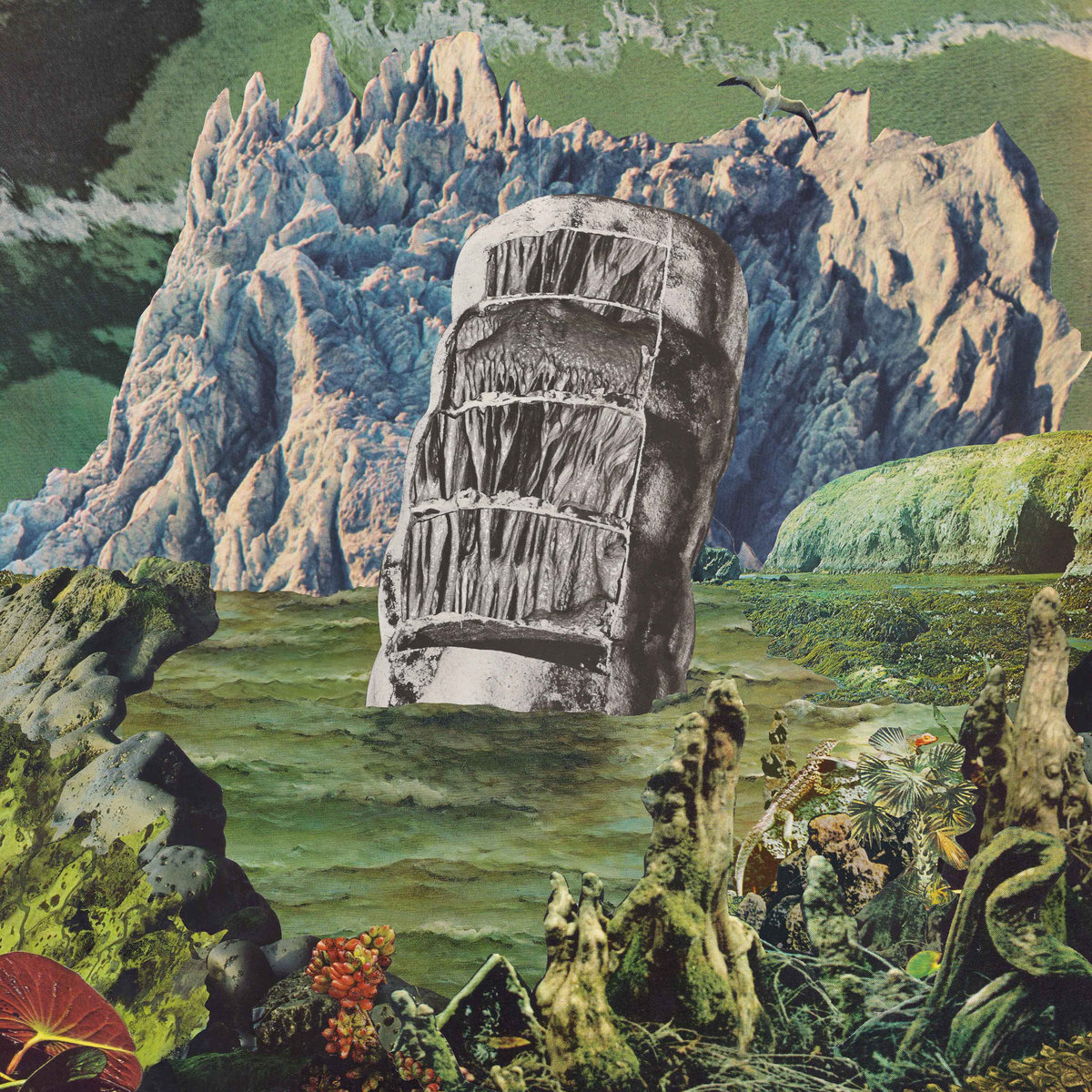 Gonçalo F. Cardoso - Exotic Immensity - 2LP