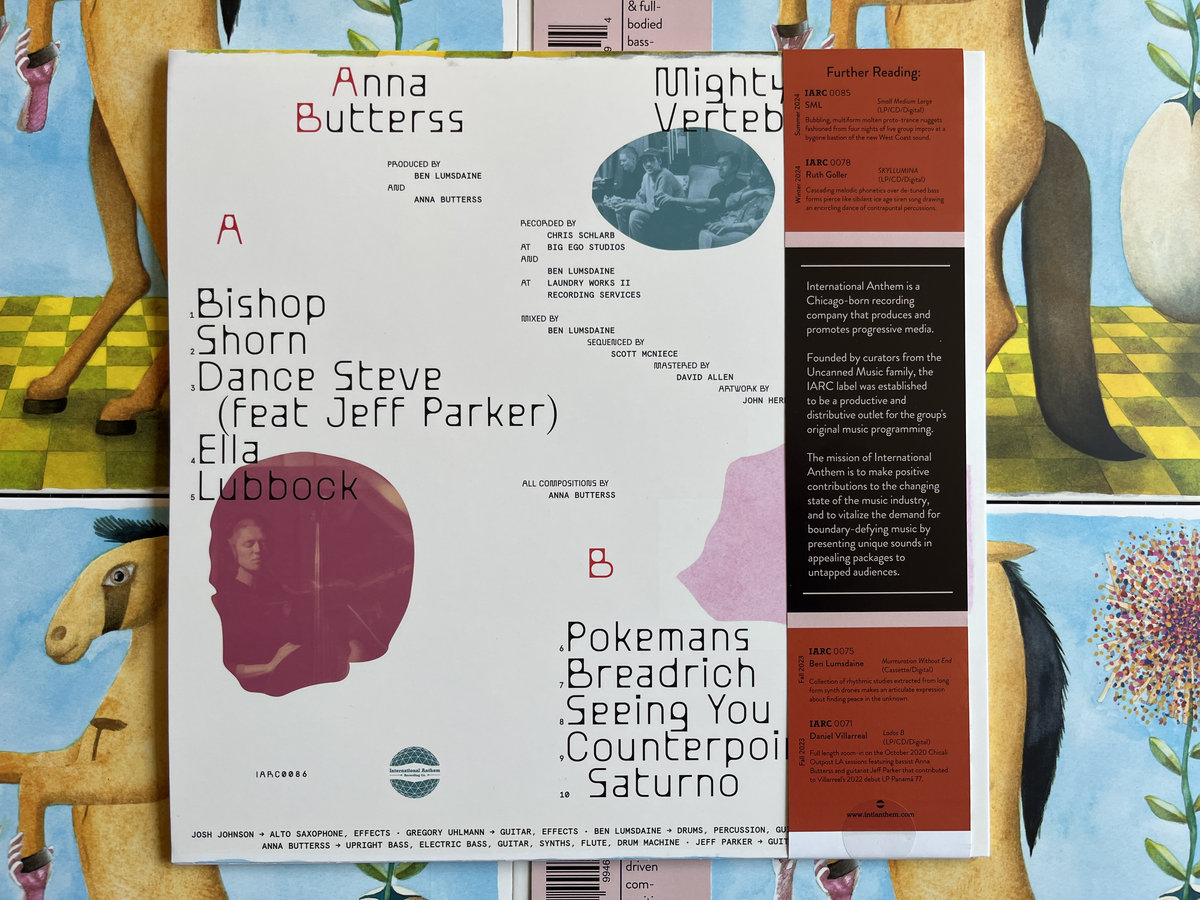 Anna Butterss - Mighty Vertebrate - LP (Yellow) - Image 2