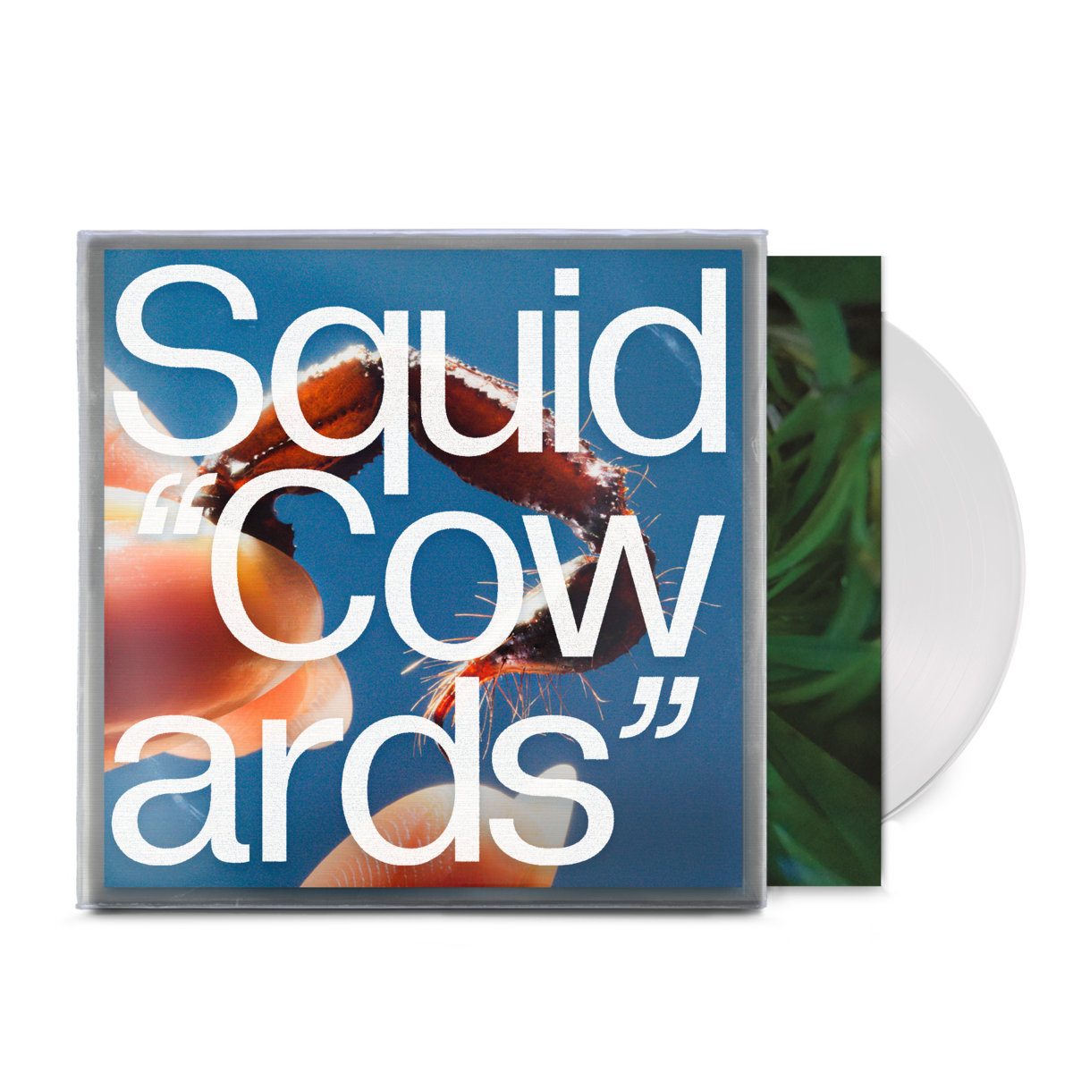 Squid - Cowards - LP (Clear) - Image 2