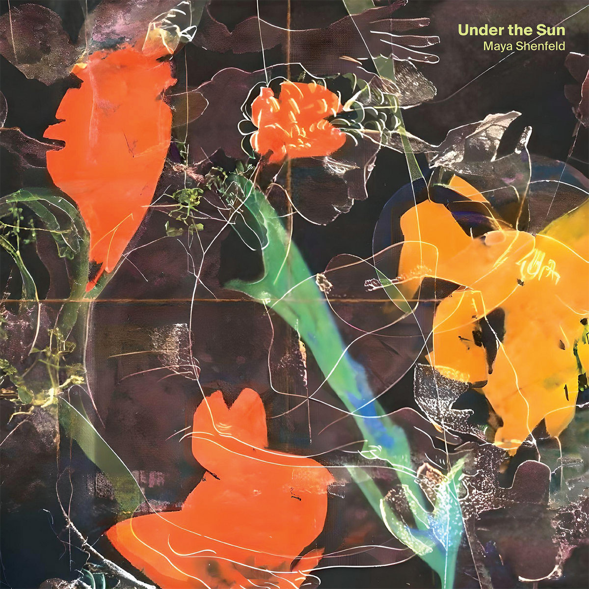 Maya Shenfeld - Under The Sun - LP
