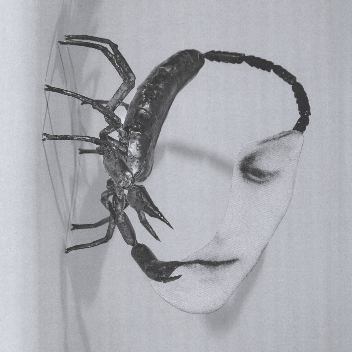 Tortoise - Touch - CD