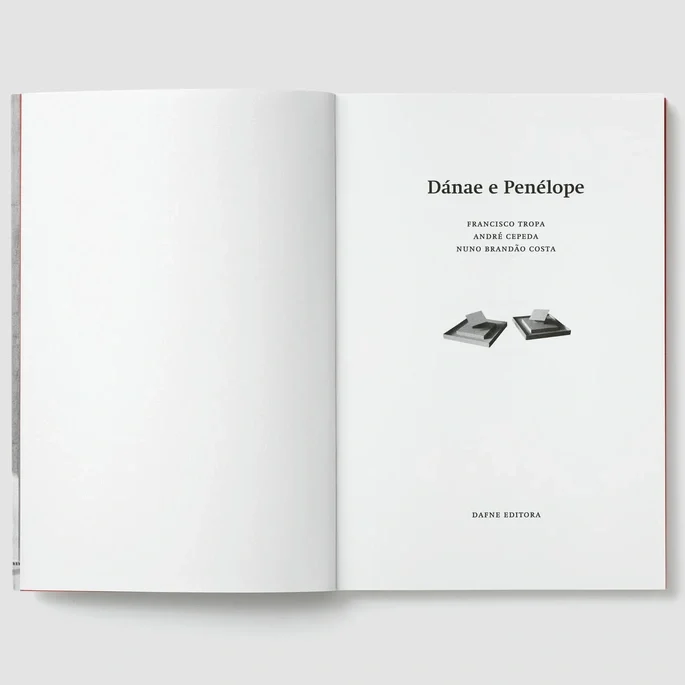 Francisco Tropa, Nuno Brandão Costa, André Cepeda - Dánae e Penélope - Livro (Book) - Image 2