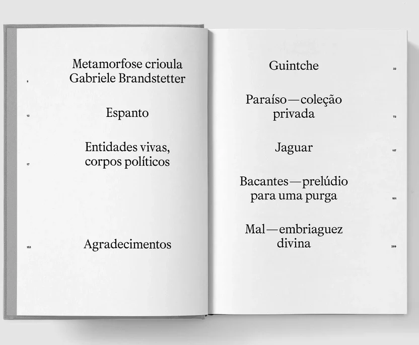 Alexandra Balona - Dança Fora de Si - Livro (Book) - Image 2