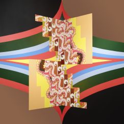 Joshua Abrams - Music For Pulse Meridian Foliation - LP